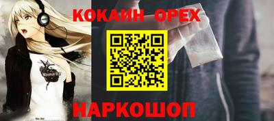 индика Камышлов