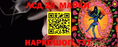 индика Камышлов