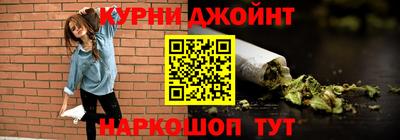 индика Камышлов