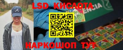 индика Камышлов