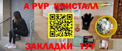 индика Камышлов