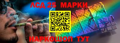индика Камышлов