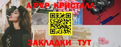 индика Камышлов