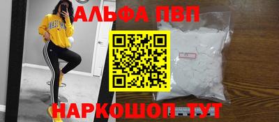 индика Камышлов